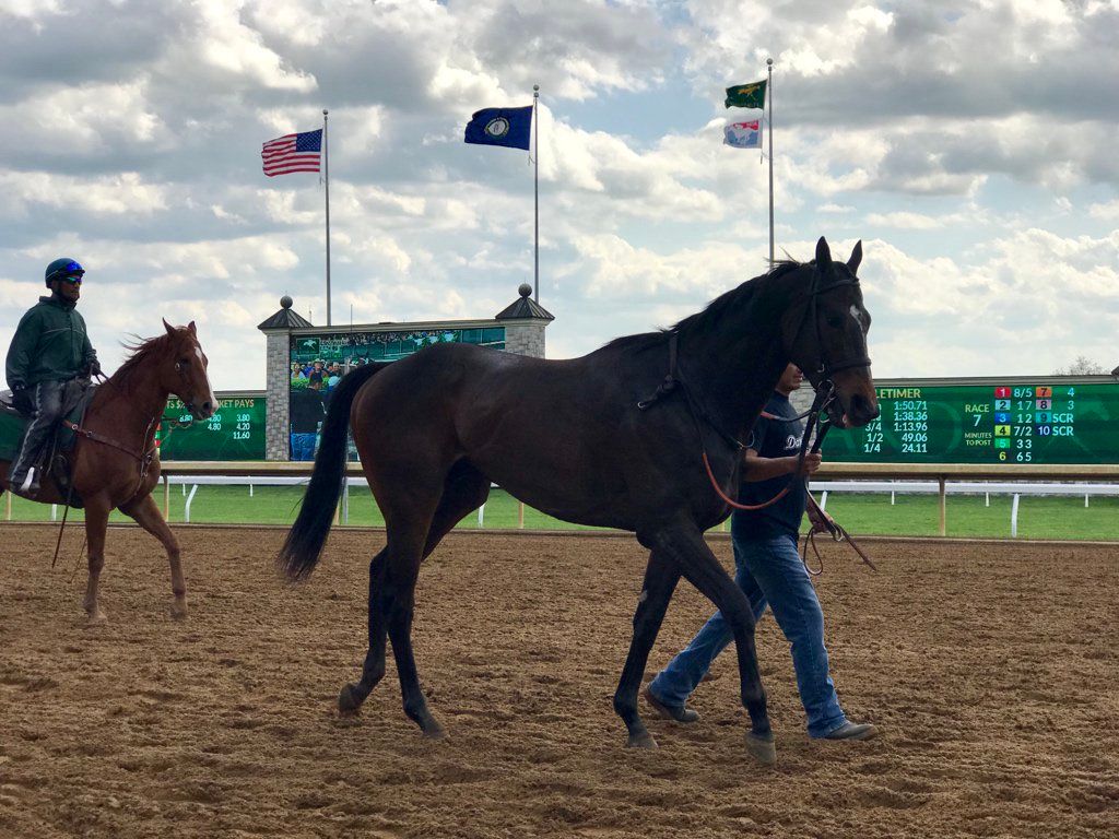 oh my god twitter doesn’t include alt text from images in their API